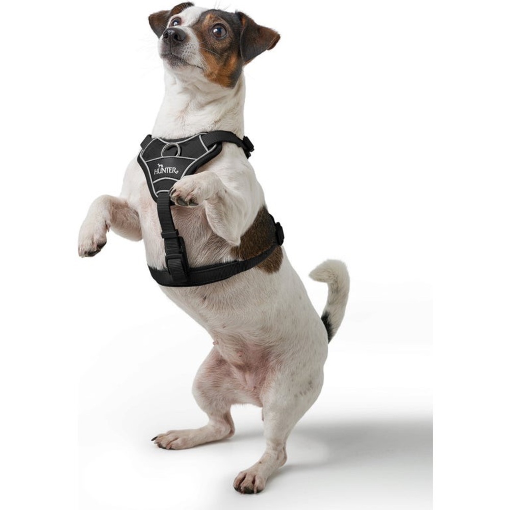 Hunter Divo Harness in Grey Size L (72-100 cm) Chest Circumference